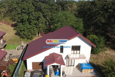 Vila cu garaj Padurea Pantelimon - 4 camere - 6