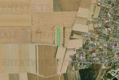 Teren de 5000 mp, în Vadu - 2