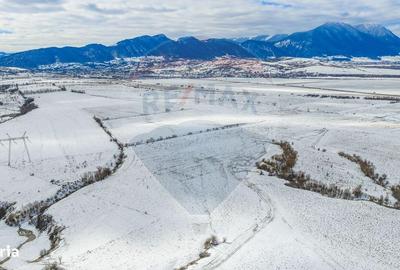 Spațiu comercial, în Tohanu Nou - 8