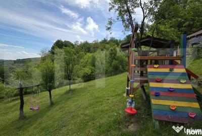 Casă cu 3 camere cu Teren 4300 Mp în Ampoița - 15
