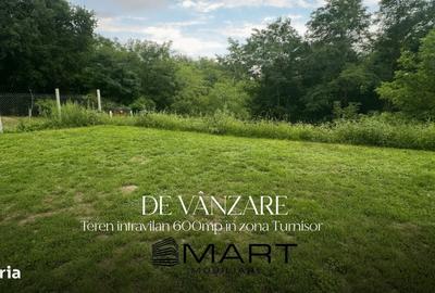 Spațiu comercial, în Turnișor