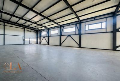Spațiu industrial, de 540 mp, în Domnești - 12