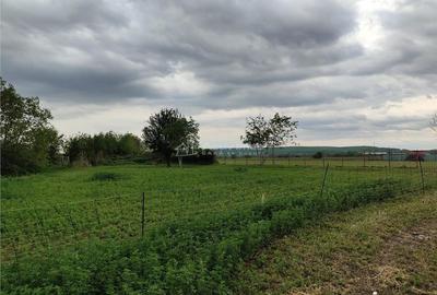Teren intravilan, situat in zona rezidentiala, la 800 de m de Primaria Lipanesti - 2