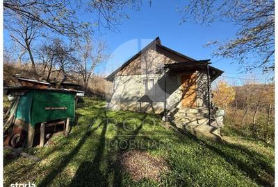 Teren de 3250 mp, în Cozieni - 9