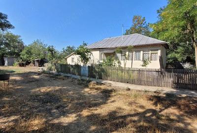 Casă cu 3 camere cu Teren 1300 Mp în Tudor Vladimirescu - 2