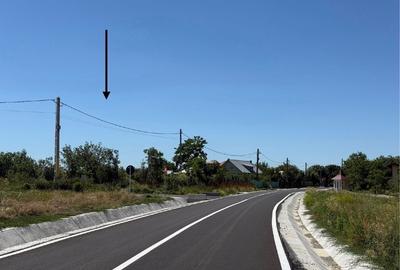 Teren sat Bogdanesti, com. Horlesti - 4