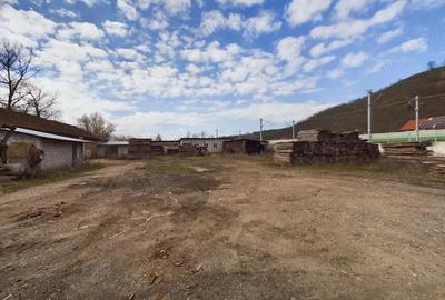 Spațiu comercial, de 1,280 mp, în Șoimoș - 16