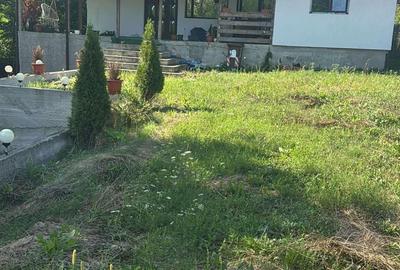 Casă cu 3 camere în Lopatnița - 1