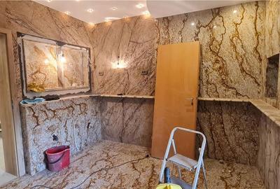 Casă cu 7 camere cu Teren 559 Mp în Elisabetin