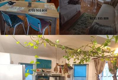 Casă cu Teren 558 Mp în Cumpăna