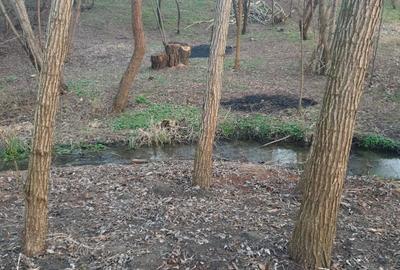 Spațiu comercial, în Malu Mare - 2