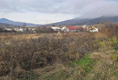 Teren de 10698 mp, în Central - 2