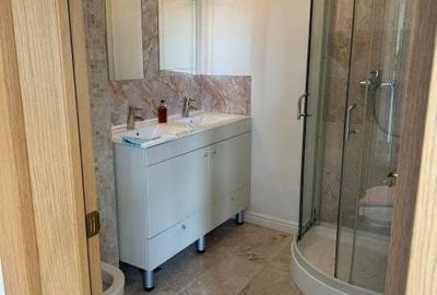 Apartament 3 camere Domenii Alexandru Constantinescu Arc Triumf Casin - 13