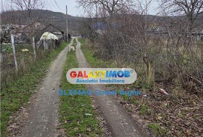 Teren de 1000 mp, în Călinești - 4