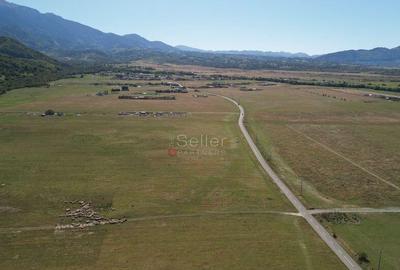 Teren extravilan Rasnov - 2