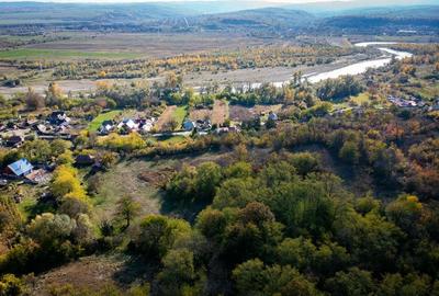 Teren intravilan 15267m2 Teren intravilan 15267m2 - 8