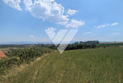 Teren intravilan 1670 mp cu vedere spre lacuri Ocna Sibiului - 10
