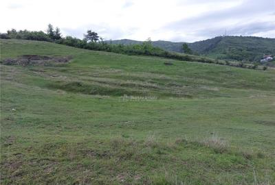 Teren extravilan 10000 mp, com Panatau - 7