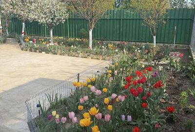 Casă cu 4 camere cu Teren 500 Mp în Fundeni - 7