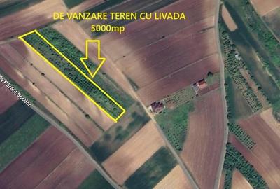 Teren agricol extravilan de 5000 mp, în Șura Mare