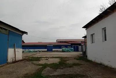 Teren în Bălțești - 6