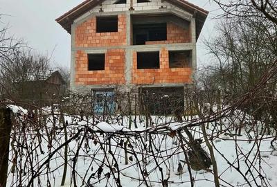 Casă în Ionești - 8