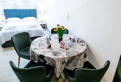 Apartament cu 3 camere semidecomandat în Aurel Vlaicu - 9