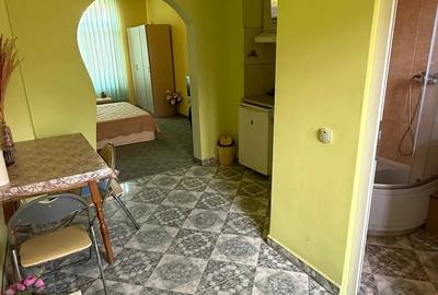 Proprietar inchiriez ap cu o camera in zona iosefin - 7