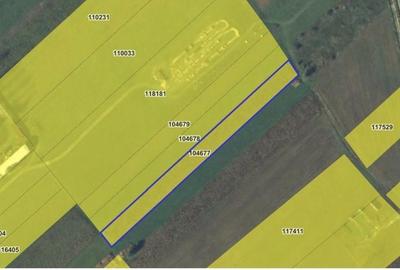 Teren de 4166 mp, în Șelimbăr - 1