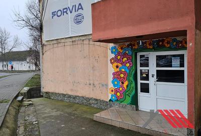 Spațiu comercial, 65 mp în Buziașului