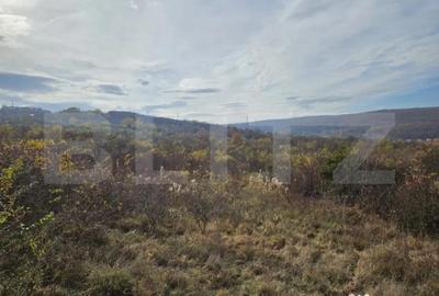 Teren de 600 mp, în Europa - 3