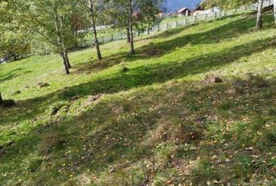 Casă cu 6 camere cu Teren 17846 Mp în Central - 5