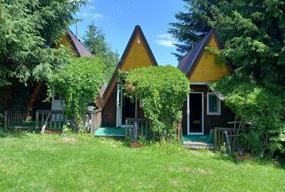 Vand sau scimb cu apart. si dif. - constructii si teren langa VATRA DORNEI 199 000 euro negociabil - 6