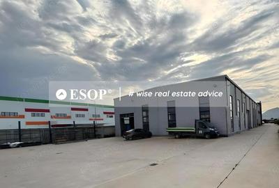 Spațiu comercial, de 1,950 mp, în Chitila - 6