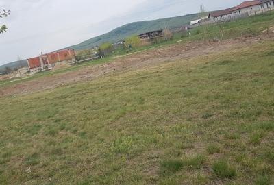 Teren de 1000 mp, în Rontău - 1