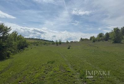 Teren de vânzare în Salistea Noua! - 1