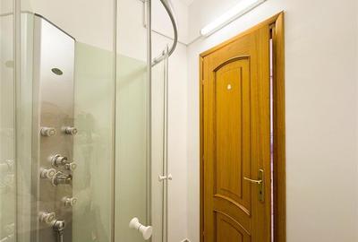 Apartament 2 camere de inchiriat Aviatorilor - 13