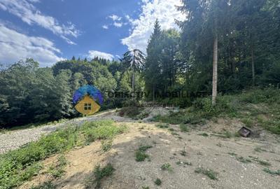 Teren cu o locatie de vis in Pangarati 53 m deschidere la st - 4