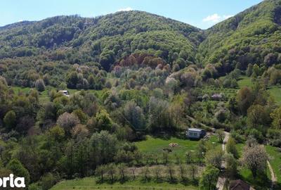 Teren de 2000 mp, în Copalnic - 7