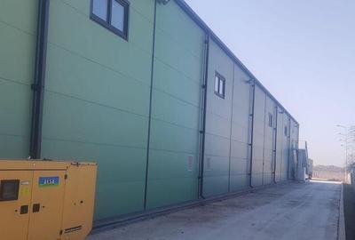 Hala zona de nord Buftea - 13