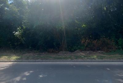 Popesti Leordeni, direct de la proprietar Popesti Leordeni, direct de la proprietar - 18