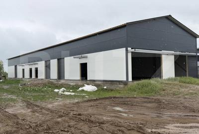 Spațiu comercial, de 1,770 mp, în Aeroport - 2