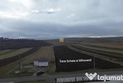 Teren de 14066 mp, în Mihoveni - 12