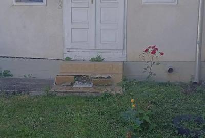 Casă cu 4 camere cu Teren 4000 Mp în Central - 1