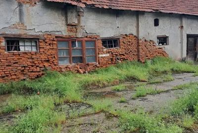 Vand hala + teren intravilan Vand hala + teren intravilan - 5