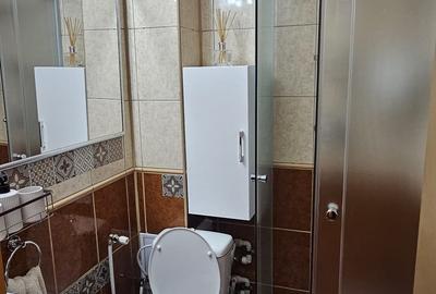 Garsonieră decomandată, mobilată în Dristor - 12