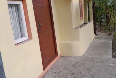 Casă cu 2 camere în Bălteni - 5