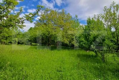 Casă cu 4 camere cu Teren 4873 Mp în Moldovenești - 12