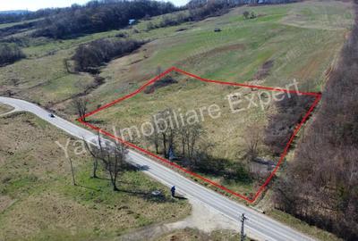 Teren de 10000 mp, în Central - 2