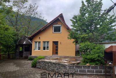 Teren extravilan 7432 mp, cu cabana de lemn Capalna AB - 1